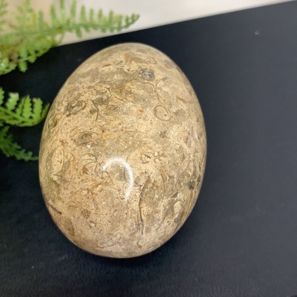 Beautiful brown, tan and cream colored MARBLE egg - Picture 9 of 10